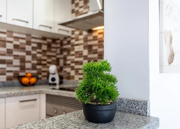 아파트 Oasis San Eugenio By Altamar Homes 아데제