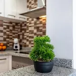 Апартаменты Oasis San Eugenio By Altamar Homes Адехе