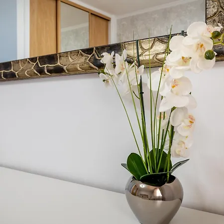 Apartment Oasis San Eugenio By Altamar Homes *