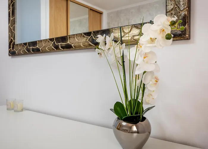 公寓 Oasis San Eugenio By Altamar Homes *